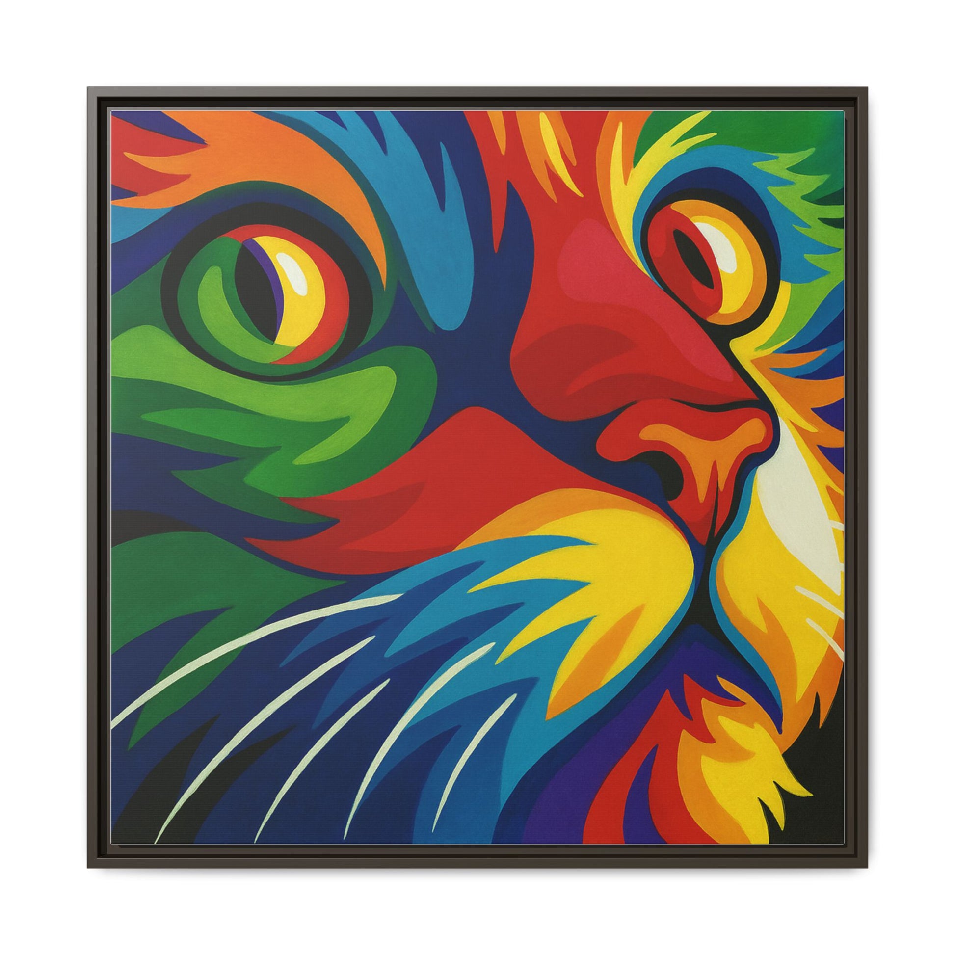 Color Cat Stare
