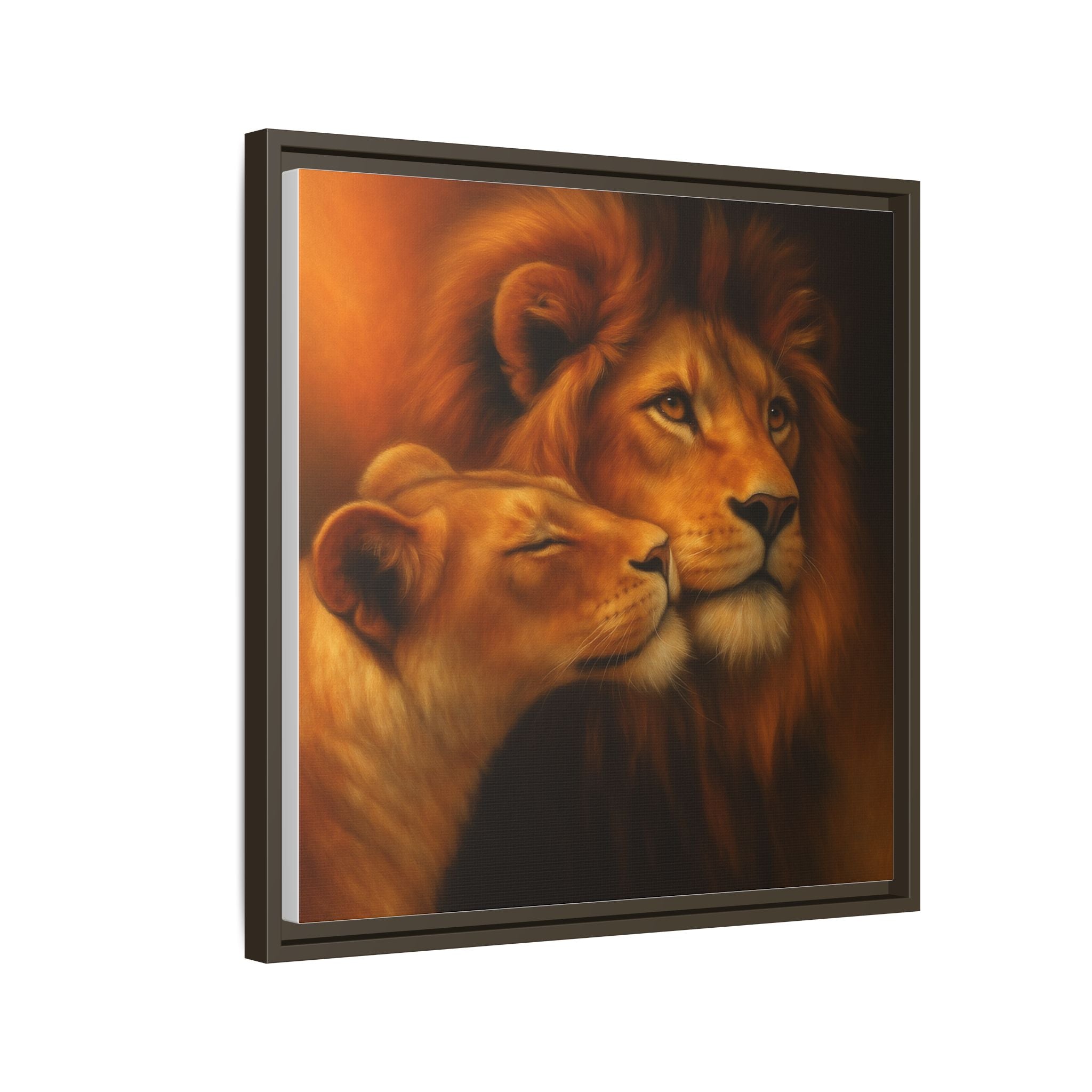 Lion Couple Wildlife