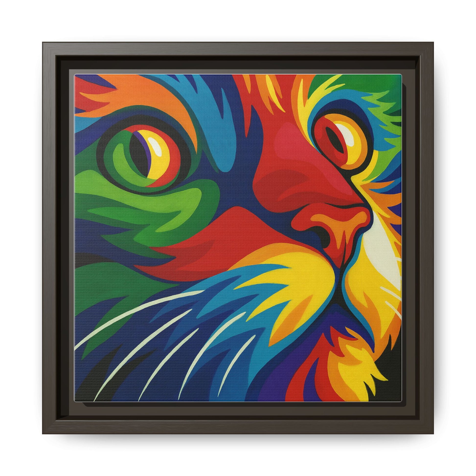 Color Cat Stare