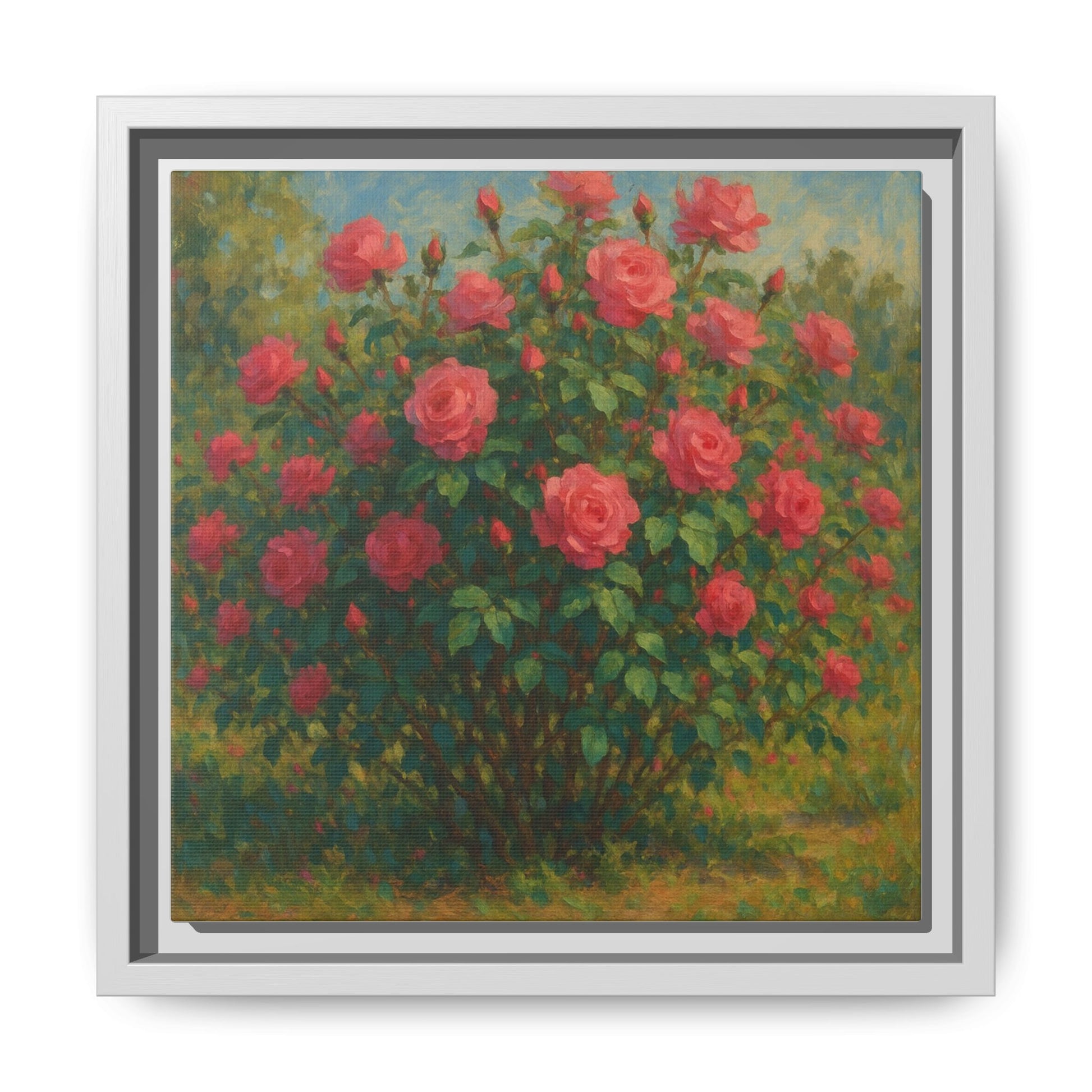 Pink Rose Bush