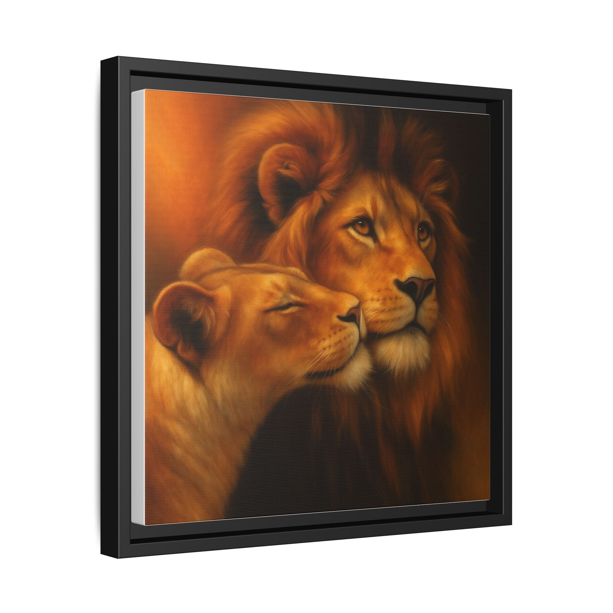 Lion Couple Wildlife