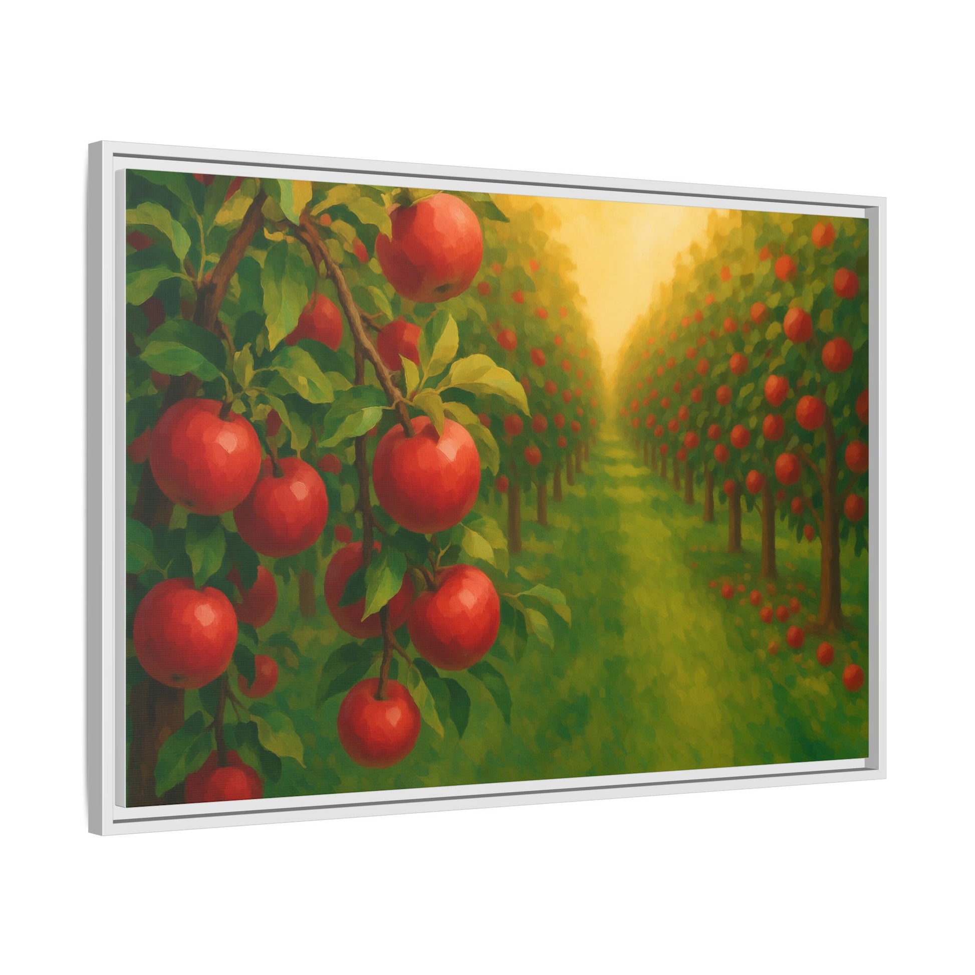 Apple Orchard Field