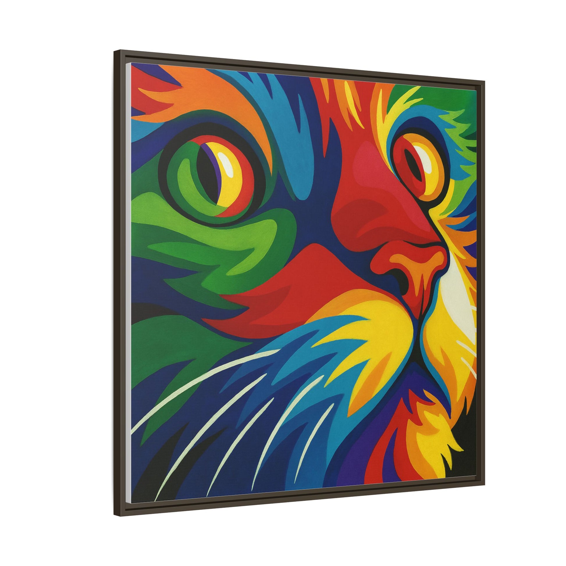 Color Cat Stare