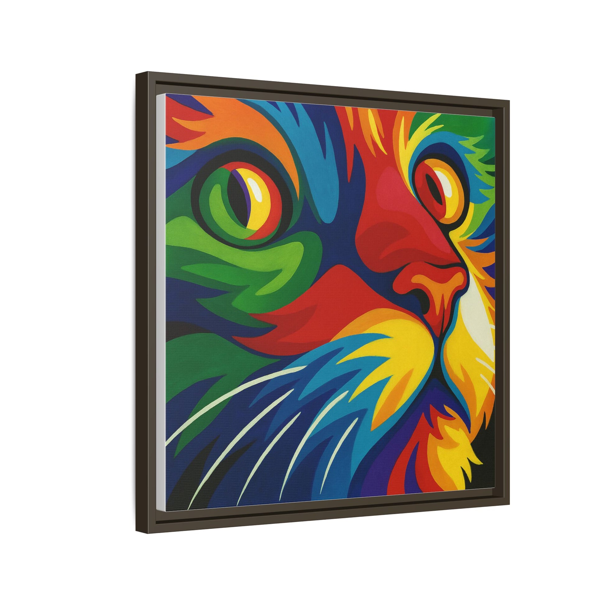 Color Cat Stare