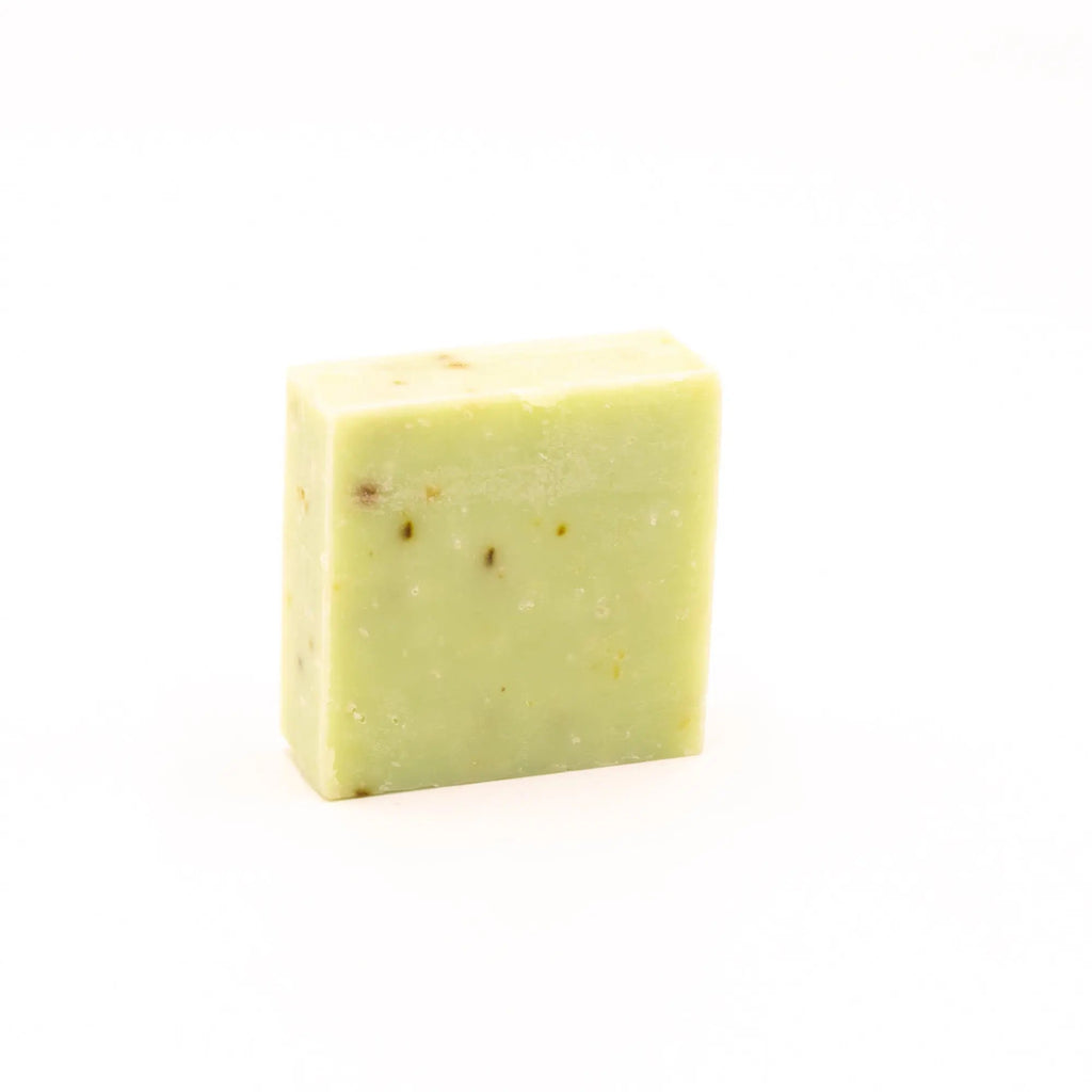 Tide & Bloom Body Wash Bar – Gentle Cleanse with Sea Salt